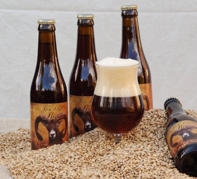 Beste Bockbier van NL